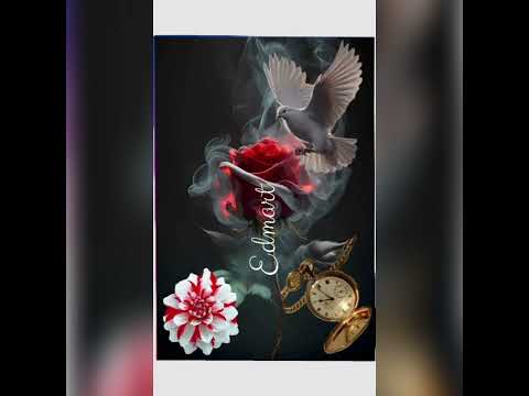 🌹Edmart Martina AviSfy 🕊️Mov01159.avi S.A 🪷Edmo Jonathan 