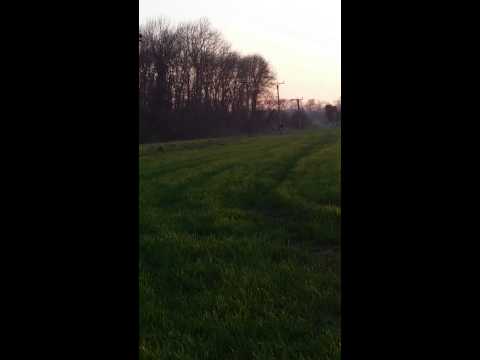 WPB 140 Race (Crf110 Frame)