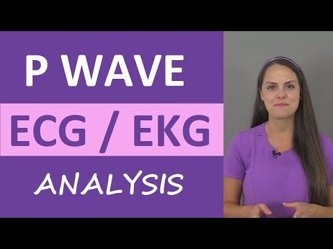 P Wave ECG/EKG Heart Rhythm Analysis Interpretation