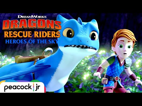 Invisible Dragon Babies | DRAGONS RESCUE RIDERS: HEROES OF THE SKY