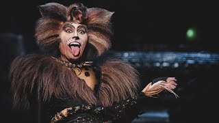 CATS THE MUSICAL - The Rum Tum Tugger highlight clip played by Actor Jack Danson.