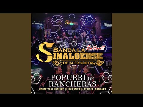 Popurrí de Rancheras: Sonora y sus ojos negros / Flor hermosa / Árboles de la barranca (En Vivo)