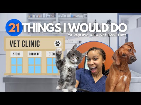 Vet Assistant Positions