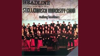 Somerkersfees (Live)