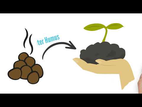 Pferdemist Lagern & Kompostieren mit der MiKoWa. Die Alternative zur Mistplatte von Wurmwelten