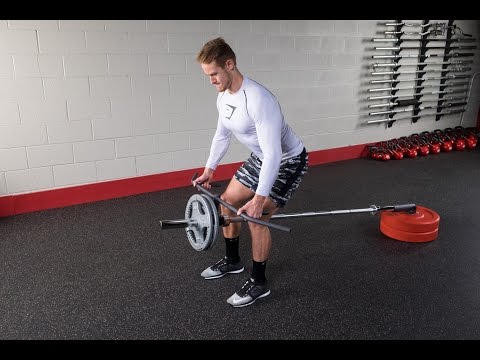 T Bar Row Strap Landmine Barbell Core Strength Deadlift Fitness Training Workout 