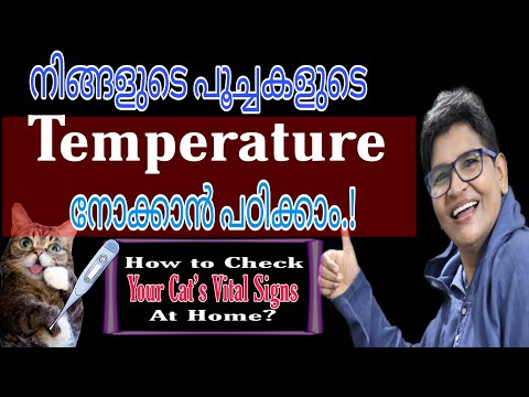 How to Check Your Cat’s Vital Signs At Home?| Pet Parenting | Nandas Pets&Us | Vanaja Subash