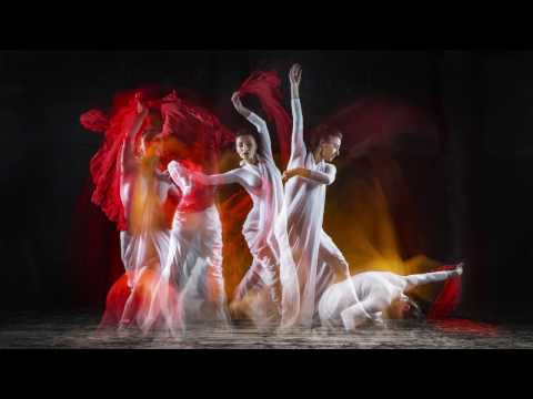 Elinchrom ELC Pro HD 500