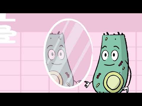 What is DNA Sequencing?