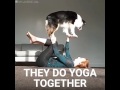 OMG This Dog Literally Does Everything