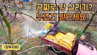 나라에서 비료를 공짜로 준다? 땅 살리는 '토양개선 비료' 안 받으면 무조건 손해입니다!