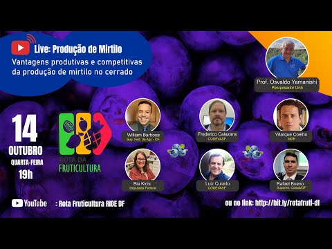 , title : 'Live: Produção de Mirtilo com o Professor Osvaldo Yamanishi da UnB'