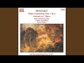 Flute Concerto No. 1 in G Major, K. 313: III. Rondo: Tempo di menuetto