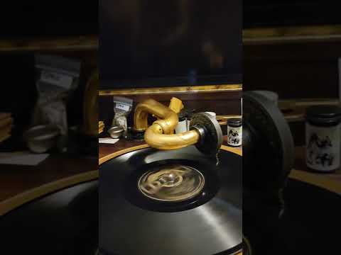 Don't Ever Leave Me! - Perley Stevens his Orchestra Diva Records #3083 1928