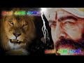 Simhadriya Simha Kannada Song Simha Simha Status Song