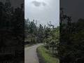 Mohamad Rafi Song Status Wadiyan Mera Daman Raste Meri Baahen Oldhits Shorts