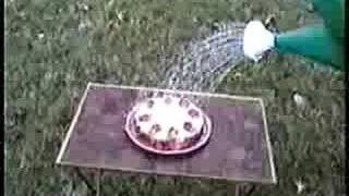 I Love You Baby by Brak