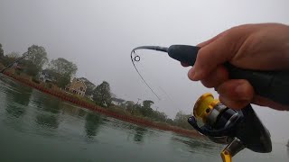Fishing a Saltwater CANAL for SHORT Fall TOG! (backup plan togging)