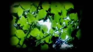 Deru  ///  Next door