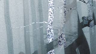 Trentemøller: Snowflake