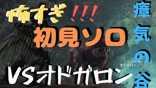 【MHW実況】オドガロンに初心者ハンターがソロ初見攻略に挑む！＆瘴気の谷の正体とは・・【モンハンワールド　実況】
