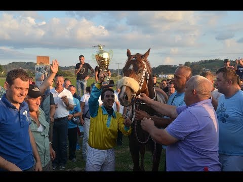 RVK - Velike međunarodne konjičke utrke u Velikoj Kladuši (15.09.2018.)