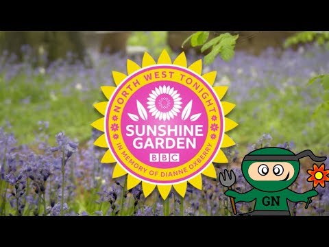 BBC North West Tonight Sunshine Garden with Garden Ninja: Episode 1 Dianne's Legacy