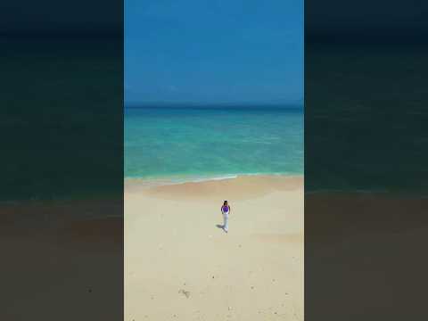 Best Beach Destination In India | Neil Island #travel #mustvisit #india #trip #andaman #neilisland