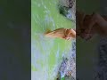 Tubewell Bathing Desi Village Boy Tubewell Swiming Tubewell Villagelife Bathing Desi
