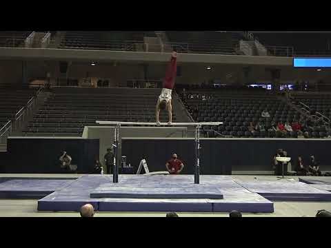 Nicolas Kuebler - Parallel Bars - 2022 Winter Cup - Senior Men Day 1