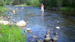 preview picture of video 'Watch the 16in Brown Trout Flash by for an instant in the middle'