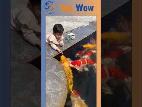 Reel tagged #animals