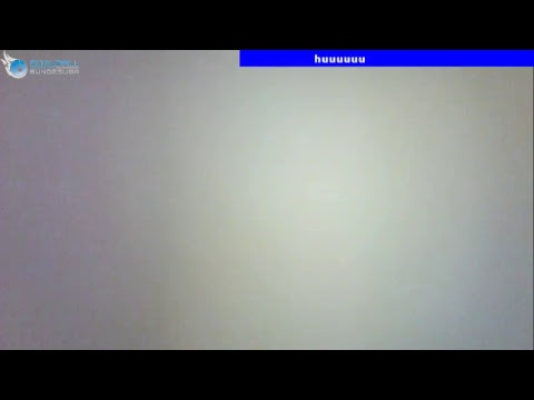 Halbfinale (SpVgg 03 Ilvesheim :  L.E. Sport. E.V.)