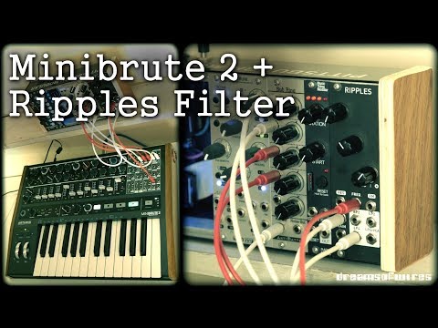 Minibrute 2 & External Filter demo - Using Ripples with 'Ext' audio input