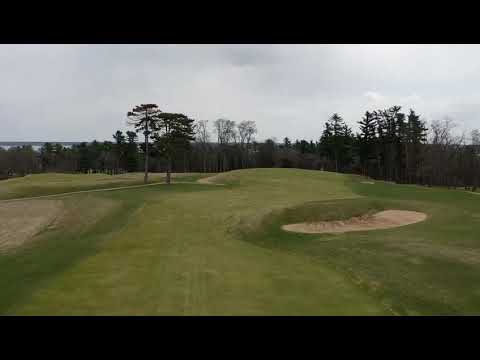 Lawsonia  Links #10