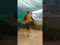 Dance Former Song Bantu Bantu Suggi Session 3
