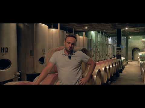 DOMAINE DE LA SOLITUDE - CHATEAUNEUF DU PAPE