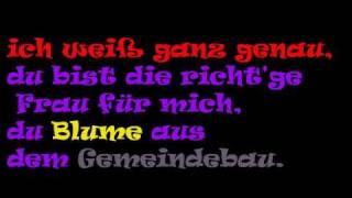 Die Blume aus dem Gemeindebau