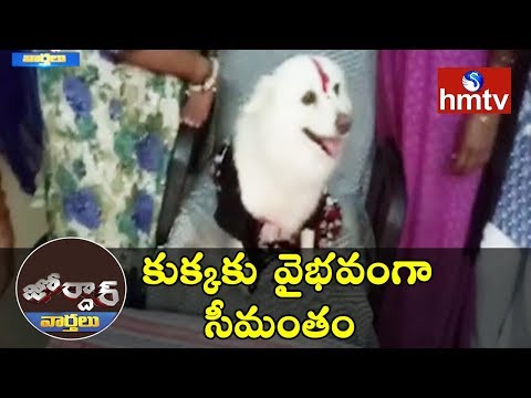 కుక్కకు వైభవంగా సీమంతం | Dog Seemantham In Manugonda | Warangal | Jordar News | hmtv News