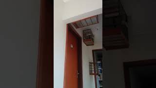 GALADOR CAMILO 803 TEMPORADA 2016/2017