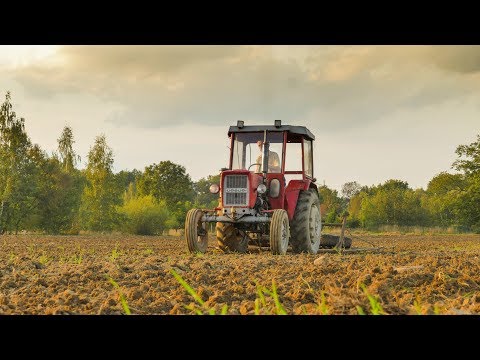 Orka i Uprawa Pod Siew Pszenicy Ozimej Ursus c-330 4K 25 FPS