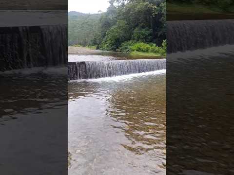El nacimiento del río medellín, vereda la clara en caldas Antioquia Colombia.  #medellín #antioquia