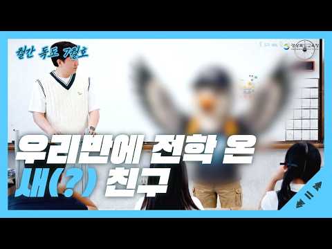 [월간 독도 7월호] 우리반에 전학 온 새(?) 친구