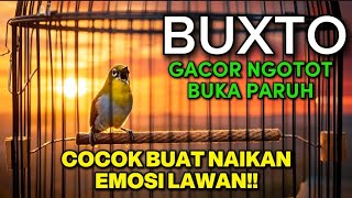 Download lagu PLECI GACOR DI PAGI HARI🔥MATERI SYAHDU mp3 Download lagu PLECI GACOR DI PAGI HARI🔥MATERI SYAHDU mp3