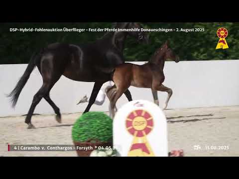 Lot 4 v. Conthargos / Forsyth