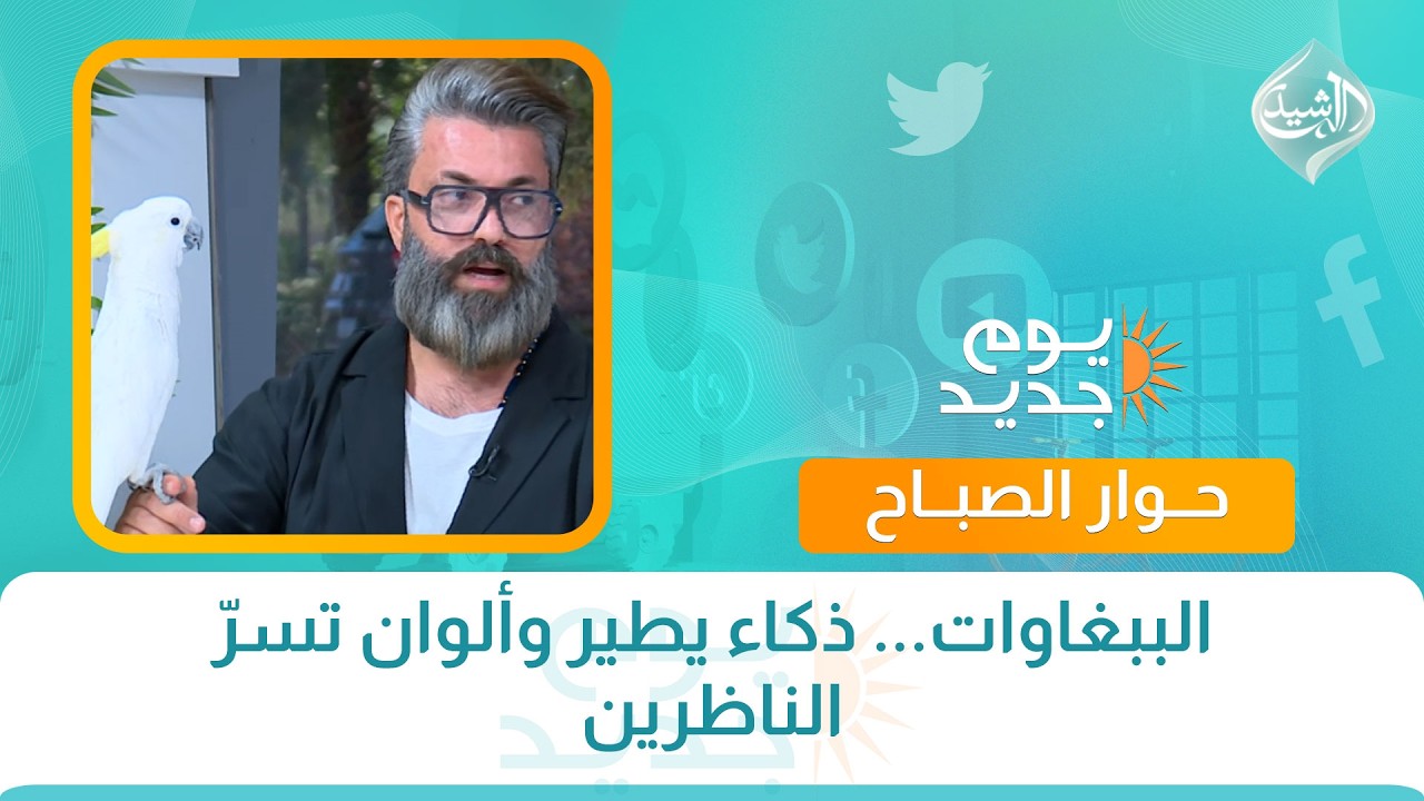 فيديو | حوار الصباح || الببغاوات... ذكاء يطير وألوان تسرّ الناظرين
