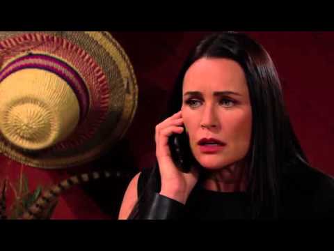 Bold and Beautiful 7255