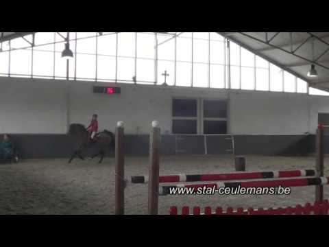 Hightrick, Thibeau Spits, LRV Kontich, VM 1.10m, 26-10-2014