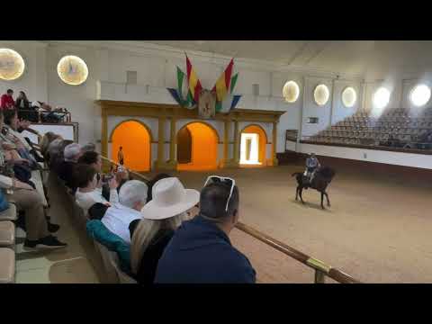 Jerez  - How Andalusian Horses Dance  - Part 1