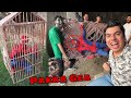 Sab Sa Bara Dushman Pakra Gea Spider Man